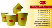 Biodegradable Paper Cups for your need cupjunction