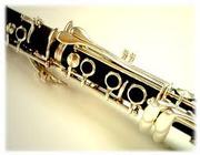 Clarinet and Saxophone Private Music Lessons