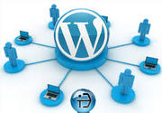 Affordable Wordpress Website Design