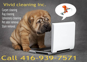 Carpet and Upholstery cleaning Toronto / Truck mounted steam cleaning