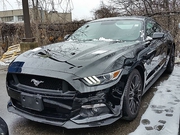 Get 2015 Ford Mustang in Toronto,  Canada