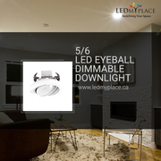 Use 5/6’’ LED Eyeball Dimmable Downlight for Better Lighting Results