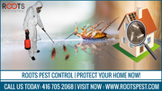 Pest Control Services in Ontario | Protect Your Home Now!