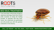Bed Bug Treatment | Roots Pest Control