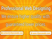 We are offering Professional Web Design & Development Services