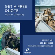 Gutter Cleaning Services in Brampton