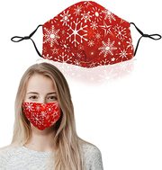 Christmas reusable mask