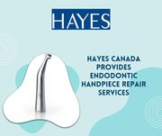 Hayes Canada leading Canadian endodontic handpiece repair Company
