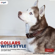 Shopangelpet! Dog Collar,  Cat Collar,  and Leashes 