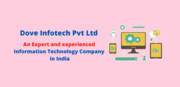  IT Firm Dove Infotech Offers Trustworthy Services