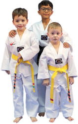 Unforgettable Birthday Parties at Five Rings Taekwondo: The Perfect Pa