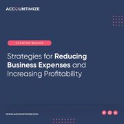 Strategies for Reducing Business Expenses and Increasing Profitability