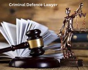Get more information about Understanding Criminal defiance Law Firms 