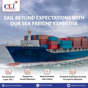 Setting Sail for Sea Cargo Success
