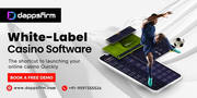 Whitelabel Casino Software: Your Shortcut to the Global Online Gaming